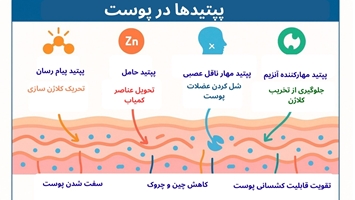 نقش پپتیدها در محصولات پوستی